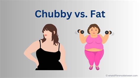 What is the Difference between Fat and Chubby: A Multi-perspective Analysis